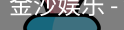 金沙国际